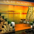 Exhibition stand of "Galaxy Ingredients", exhibition IFFA 2013 in Frankfurt