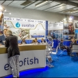 Exhibition stand of "Eurofish" company, exhibition EUROPEAN SEAFOOD EXPOSITION 2015 in Brussels
