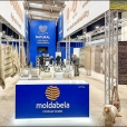Kompānijas "Moldabela" stends izstādē DOMOTEX 2018 Hannoverē